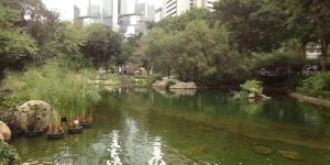 Hong Kong Park