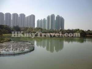 Hong Kong Wetland Park