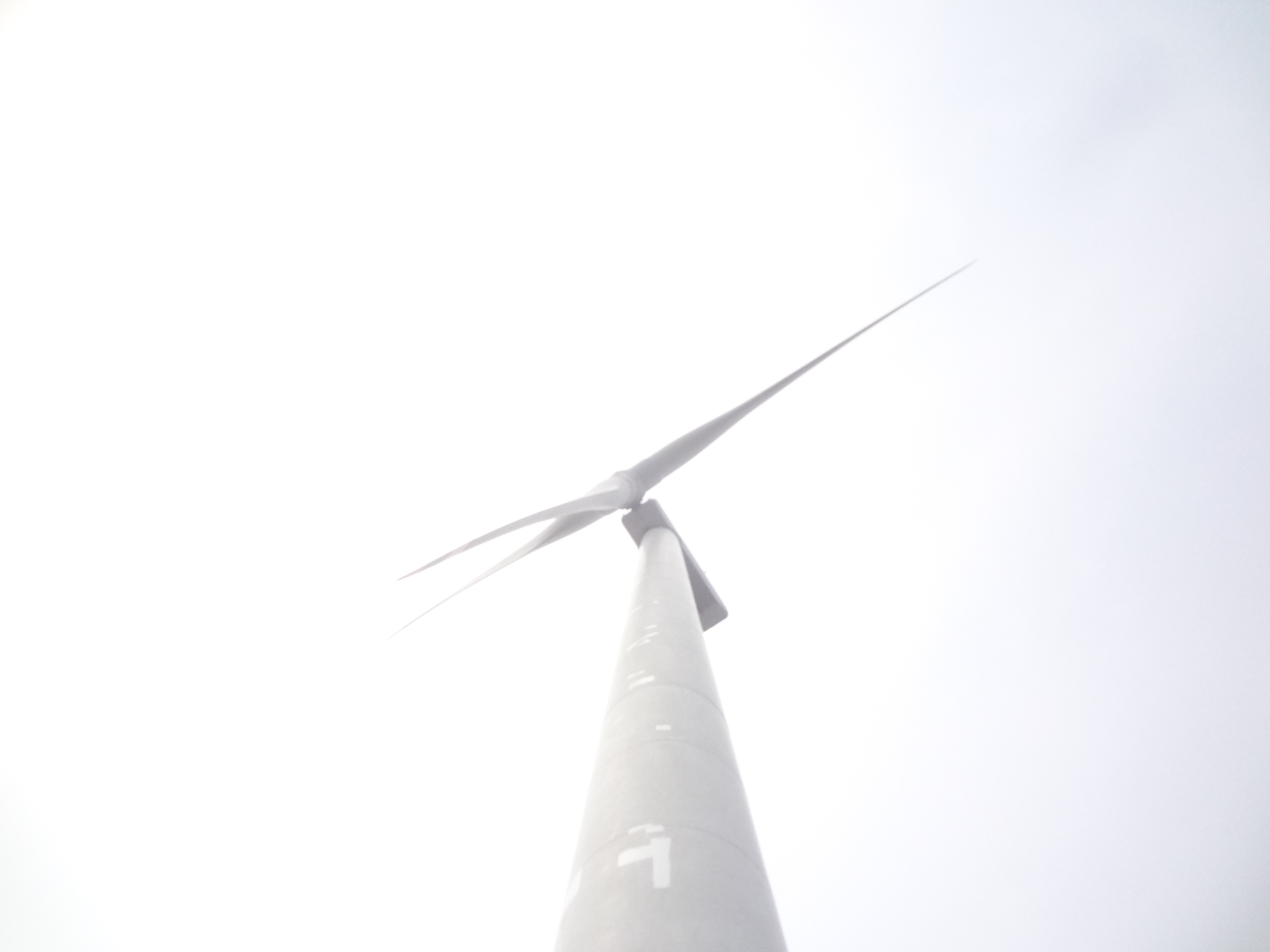 Lamma Winds