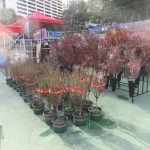 Lunar New Year Fair 2023 @ Victoria Park Hong Kong