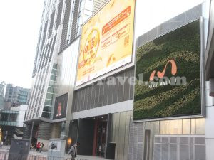 NINA MALL 1