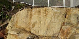 Rock Carving at Big Wave Bay