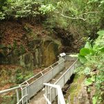 Rock Carvings at Wong Chuk Hang