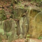 Rock Carvings at Wong Chuk Hang