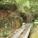 Rock Carvings at Wong Chuk Hang