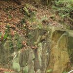 Rock Carvings at Wong Chuk Hang