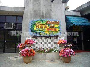 The Reptile House