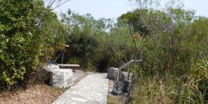 Tsing Yi Nature trail