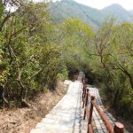 Tsing Yi Nature trail