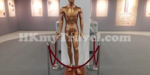 Dr. & Mrs. Hung Hin Shiu Museum of Chinese Medicine at Hong Kong Baptist University