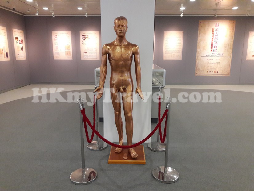 Dr. & Mrs. Hung Hin Shiu Museum of Chinese Medicine at Hong Kong Baptist University