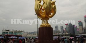 Golden Bauhinia Square