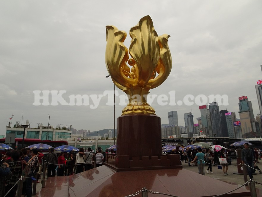 Golden Bauhinia Square