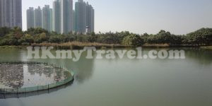 Hong Kong Wetland Park
