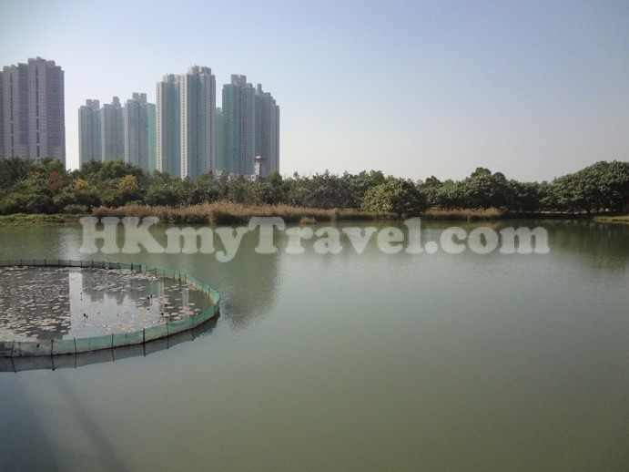 Hong Kong Wetland Park