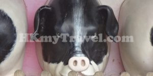 Kadoorie Farm And Botanic Garden