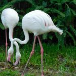 澳門石排灣郊野公園