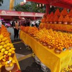 2025 Shenzhen Chinese New Year Flower Fair