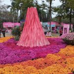 Chrysanthemum Exhibition in the East Lake Park Shenzhen China