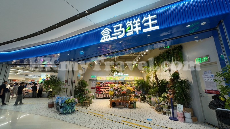 Freshippo (Shenzhen Joy City Store) ‐ Lingzhi Station