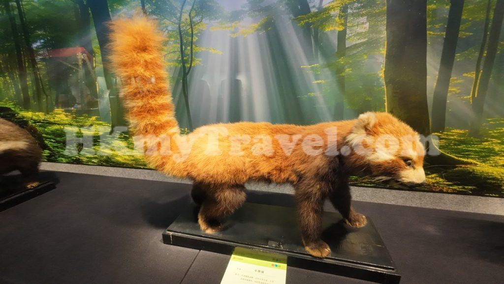 Insect and Animal Specimen Exhibition