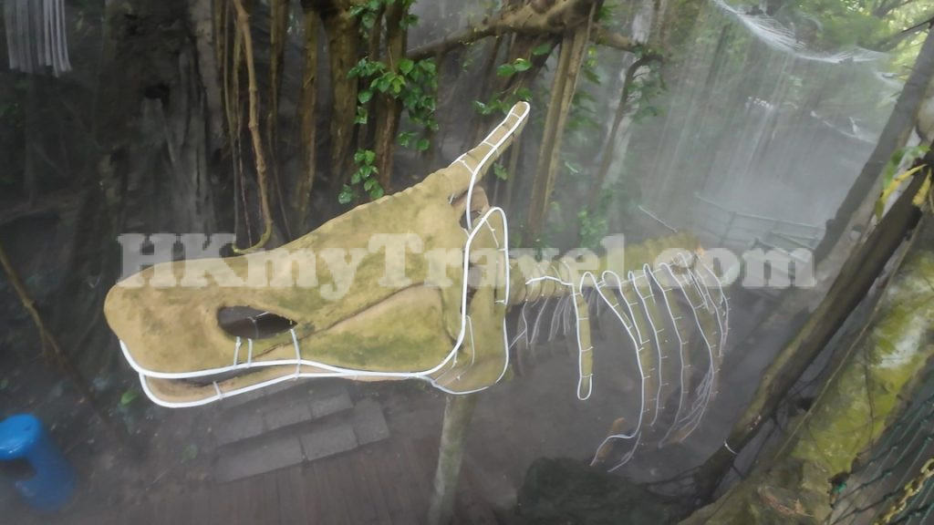 The most Jurassic park alike dinosaur forest in Shenzhen China