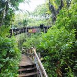 Shenzhen Evergreen Resort Rainforest Theme Park