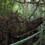 The most Jurassic park alike dinosaur forest in Shenzhen China