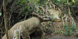 The most Jurassic park alike dinosaur forest in Shenzhen China