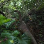 The most Jurassic park alike dinosaur forest in Shenzhen China