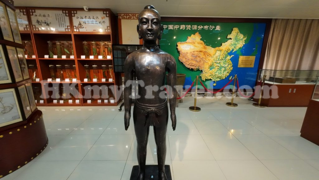 Shenzhen Traditional Chinese Medicine Museum
