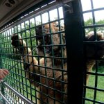 Shenzhen Safari Park