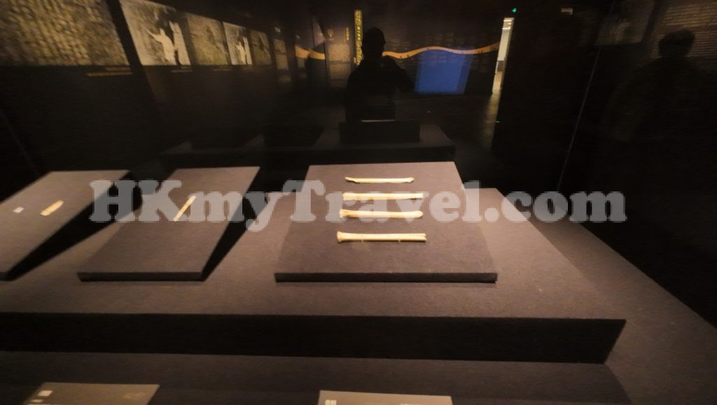 The Path of Integration: The Migration and Development of the Tuoba Xianbei at Nanshan Museum Shenzhen China