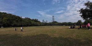 蓮花山公園