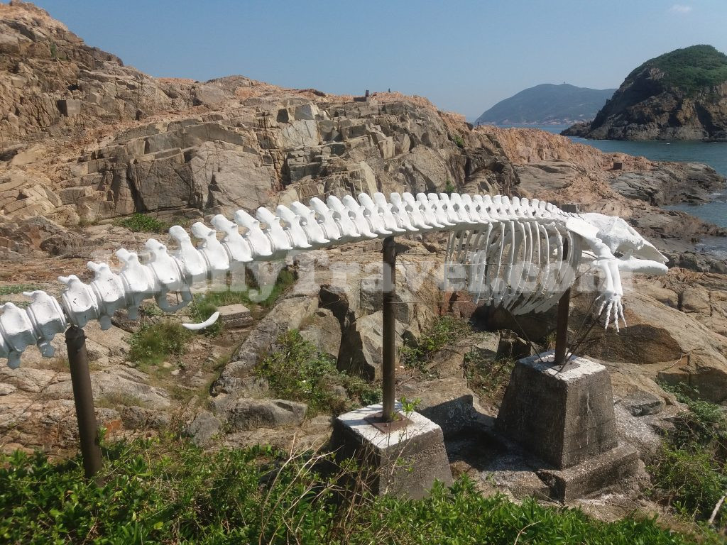 海威鯨魚骨架| 香港旅遊指南(開放時間、聯絡、交通、地圖)