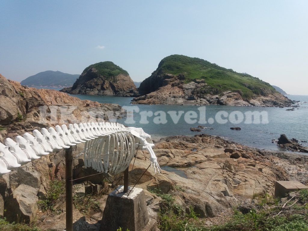 海威鯨魚骨架| 香港旅遊指南(開放時間、聯絡、交通、地圖)