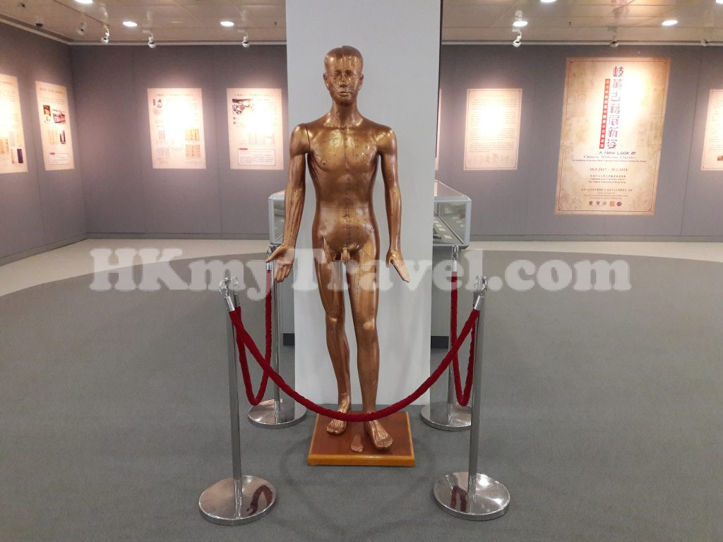 香港浸會大學孔憲紹博士伉儷中醫藥博物館