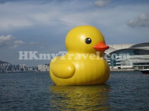 橡皮鴨二重暢2023