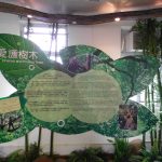 香港仔樹木廊