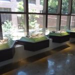 香港大學許士芬地質博物館