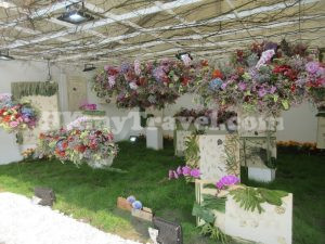 香港花卉展覽2023