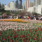 香港花卉展覽2023