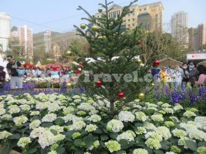 香港花卉展覽2023